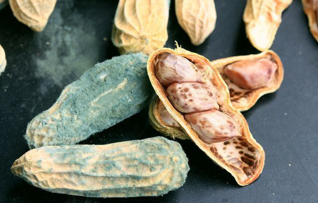 4 thứ trong căn bếp mà nhà nào cũng có là bãi mìn của bệnh ung thư gan, chứa chất độc khét tiếng nhất thế giới - Ảnh 1. 4 thứ trong căn bếp mà nhà nào cũng có là bãi mìn của bệnh ung thư gan, chứa chất độc khét tiếng nhất thế giới - Ảnh 1.