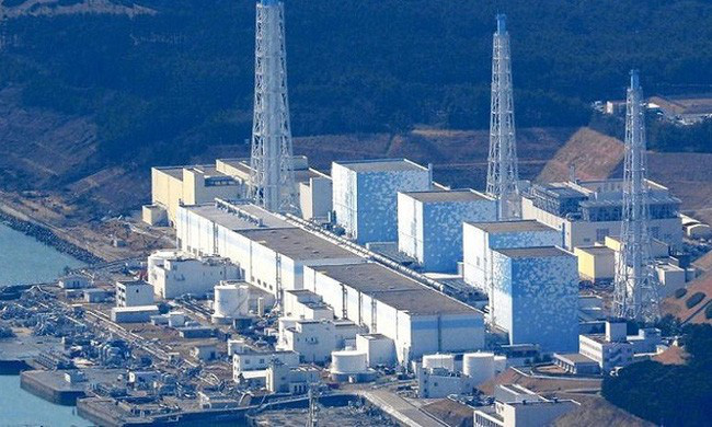 Nước thải từ nhà máy điện hạt nhân Fukushima có thể làm biến đổi ADN - Ảnh 1.