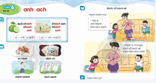 Thêm hai bộ sách Tiếng Việt bị phụ huynh tìm ra lỗi sai kiến thức cơ bản: Sở thú chỉ có ngan, gà và anh chó vàng đua xe đạp? - Ảnh 3.