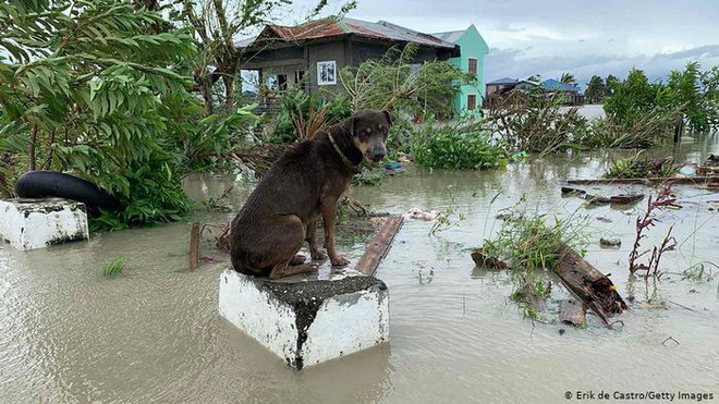 Báo nước ngoài viết về bão lũ miền Trung: Bão sát thủ vừa qua, Việt Nam lại sẵn sàng sơ tán 1,3 triệu dân - Ảnh 1.