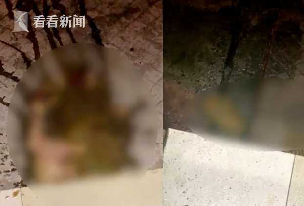 Bị ném chất thải vào nhà liên tục hơn 1 năm, chủ nhà quyết định gắn camera theo dõi và phát hiện chân tướng không thể ngờ đến - Ảnh 1.