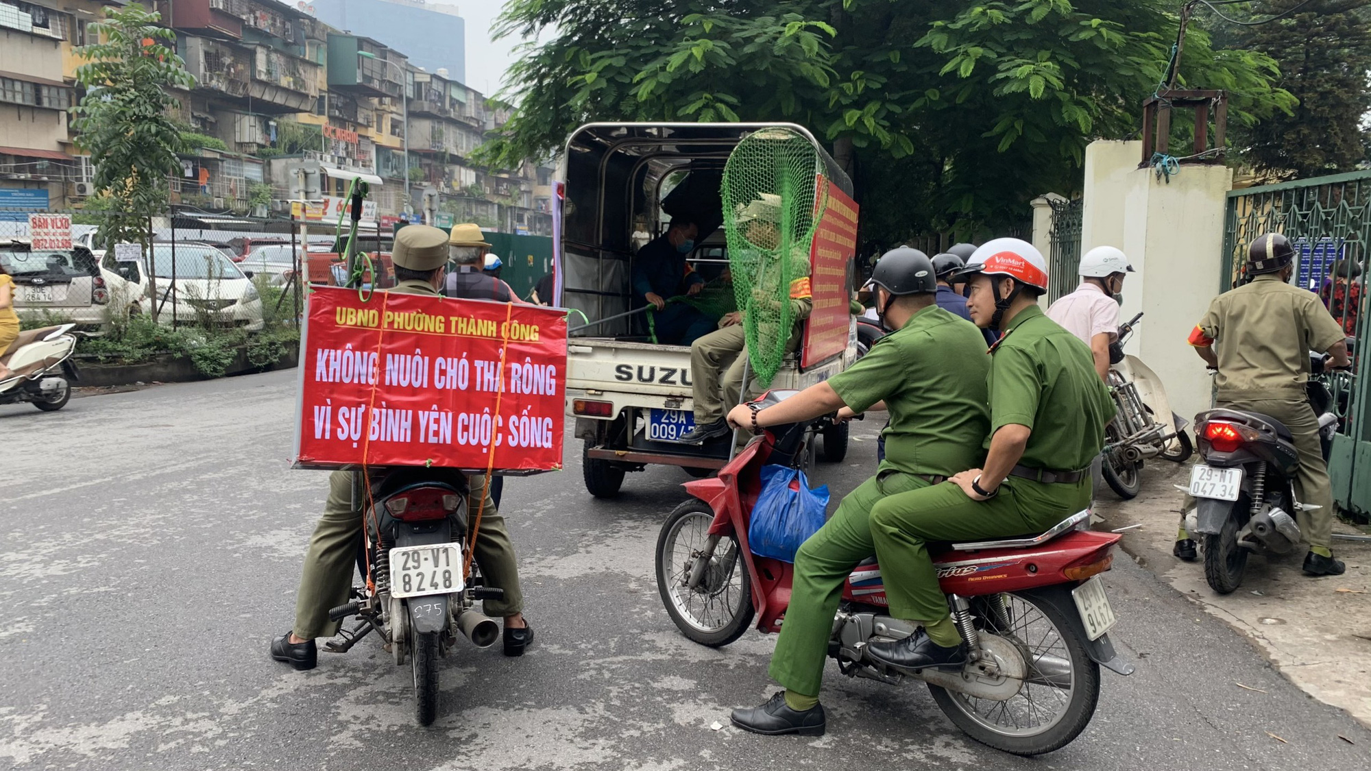 Hà Nội: Thành lập tổ phản ứng nhanh truy bắt chó thả rông nơi công cộng - Ảnh 1. Hà Nội: Thành lập tổ phản ứng nhanh truy bắt chó thả rông nơi công cộng - Ảnh 1.