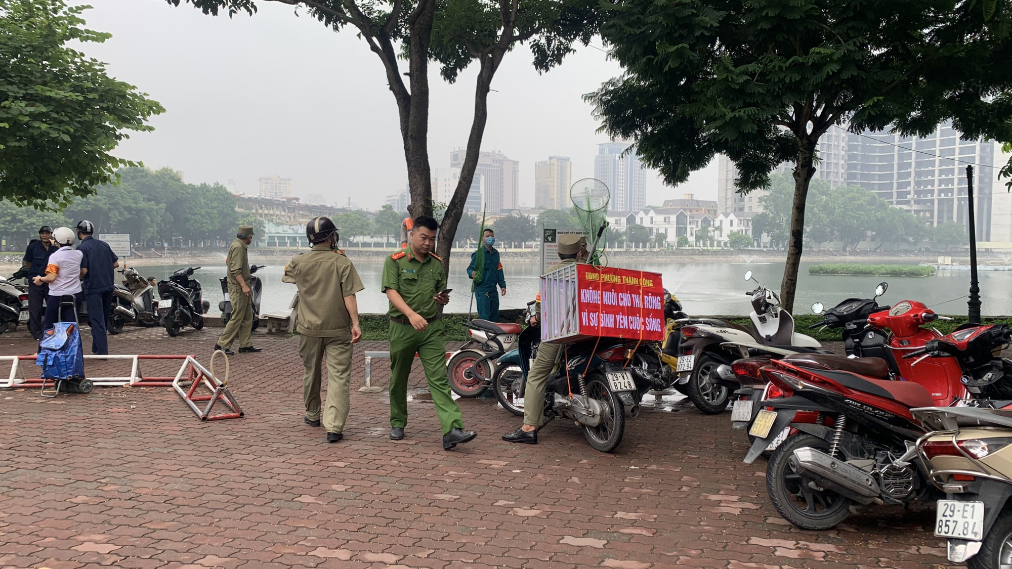 Hà Nội: Thành lập tổ phản ứng nhanh truy bắt chó thả rông nơi công cộng - Ảnh 2.