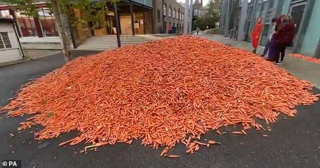 Đang yên đang lành đổ 29 tấn cà rốt ra đường, thanh niên khiến đám đông há hốc, khi biết hàm ý sâu xa vẫn không thể hiểu nổi - Ảnh 5.
