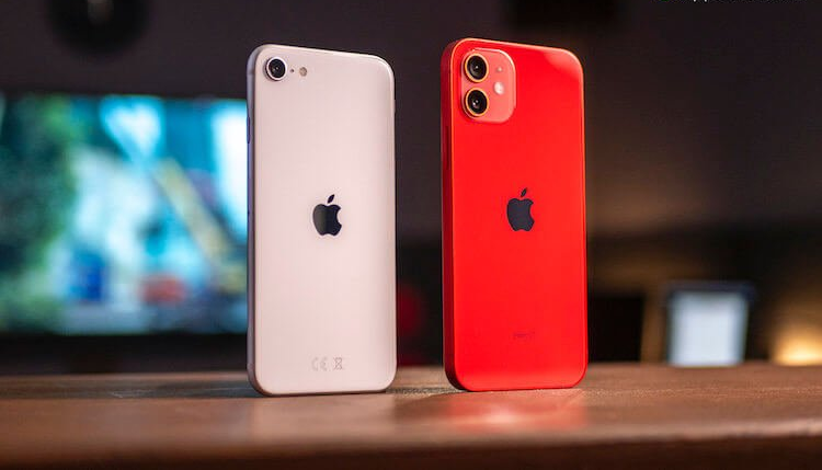 Đặt lên bàn cân: iPhone 12 hay iPhone SE 2 chụp ảnh đẹp hơn?