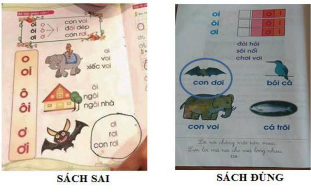 Lại hoang mang chuyện sách giáo khoa lớp 1 dạy trẻ đọc con dơi thành con rơi nhưng sự thật phía sau mới làm phụ huynh ngã ngửa - Ảnh 2.