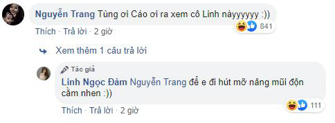 Linh Ngọc Đàm tuyên bố muốn làm giang hồ chứ không làm người nổi tiếng, cộng đồng phản ứng gay gắt - Ảnh 2.