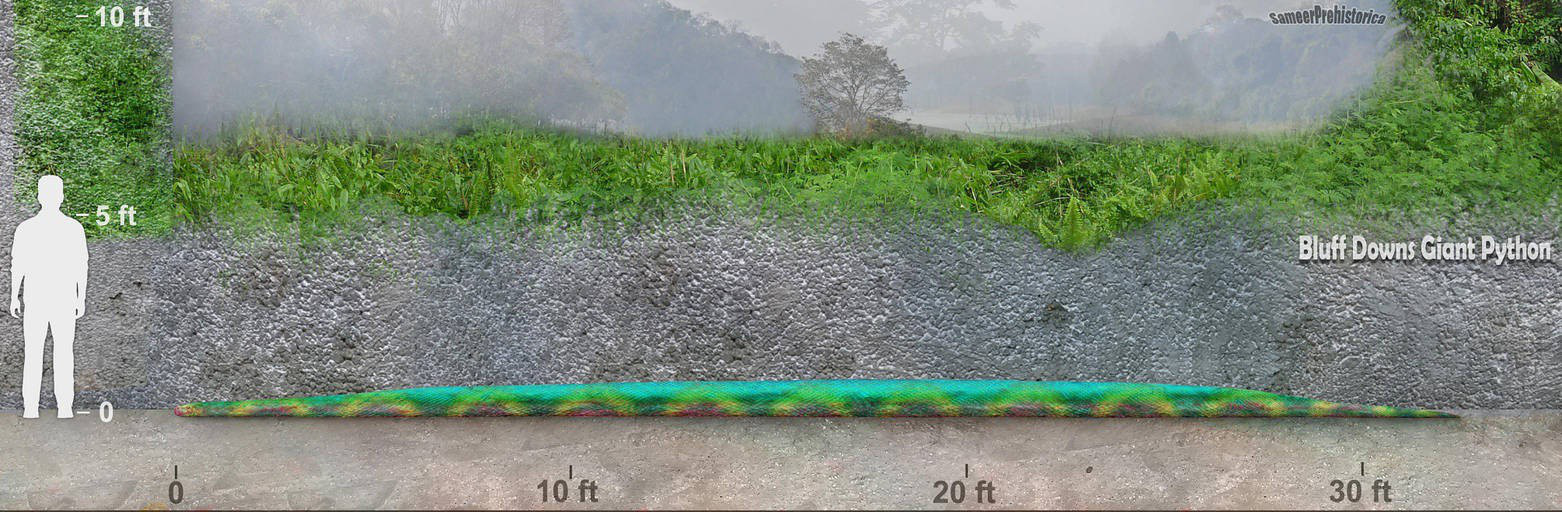 V&igrave; sao 1/3 nh&acirc;n loại lại sợ rắn v&agrave; sự thật về những lo&agrave;i b&ograve; s&aacute;t khổng lồ từng xơi t&aacute;i c&aacute; voi v&agrave; khủng long thời tiền sử - Ảnh 8.