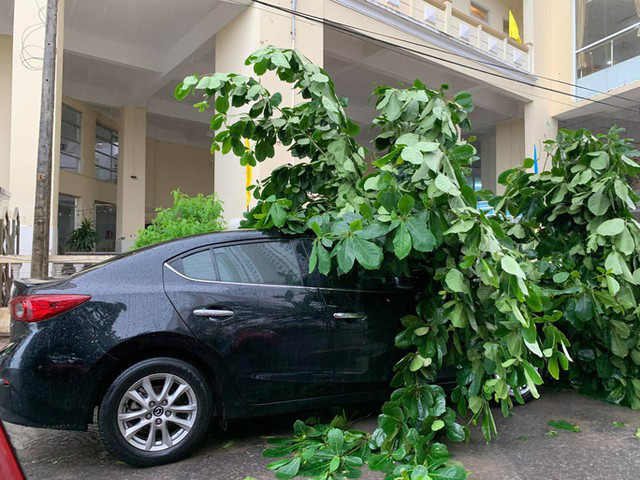 Hình ảnh bão số 12 đổ bộ: Mưa lớn, gió thổi mạnh quật đổ cây xanh - Ảnh 2.