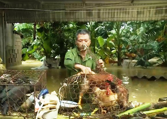 Nước lũ rút, côn trùng, rắn rết bò khắp nơi trong trường học, trạm y tế - Ảnh 6.