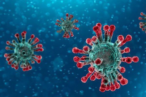 Virus vi&ecirc;m phổi Vũ H&aacute;n: Nhật Bản c&ocirc; lập th&agrave;nh c&ocirc;ng chủng virus corona mới, sẵn s&agrave;ng c&ocirc;ng cuộc sản xuất thuốc v&agrave; vắc-xin mới ứng ph&oacute; - Ảnh 1.