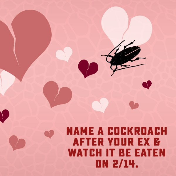 Dịch vụ đặc biệt cho những trái tim tan vỡ vào Valentine: Đặt tên người yêu cũ cho gián rồi để nó làm bữa tối của các con vật khác - Ảnh 1.