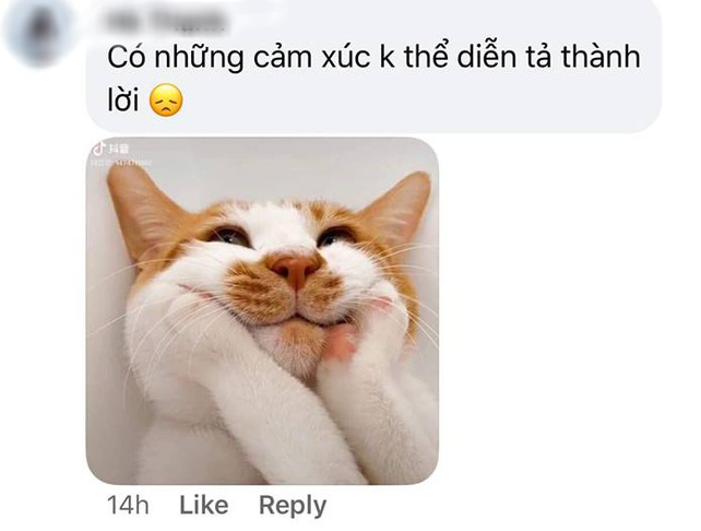 Liêm sỉ của chị em lại vô tình đánh rơi vì nhan sắc cực phẩm trên tấm hình hộ chiếu Hyun Bin ở Crash Landing on You rồi! - Ảnh 5.