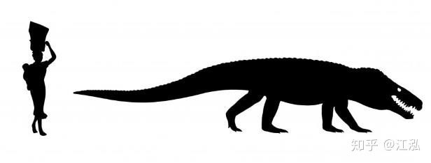 Cá sấu cổ đại: Cỗ máy hủy diệt còn đáng sợ hơn cả khủng long - Ảnh 8.