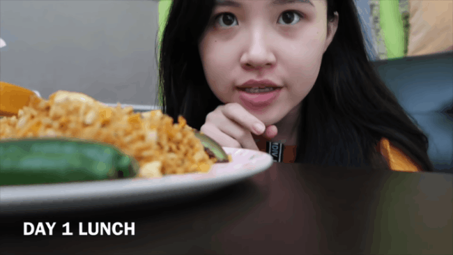 Thử ăn kiêng theo chế độ ăn của Black Pink, sau 3 ngày Vlogger Indonesia nhận được kết quả bất ngờ - Ảnh 3.