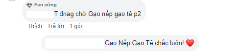 Th&uacute;y Ng&acirc;n - Nh&atilde; Phương bất ngờ song kiếm hợp b&iacute;ch ở dự &aacute;n phim mới, kh&aacute;n giả gọi t&ecirc;n Gạo Nếp Gạo Tẻ phần 2 - Ảnh 3.