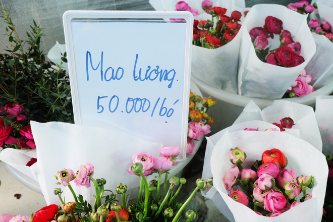Xếp hàng từ 7h giờ sáng mua hoa hồng Đà Lạt 1.000 đồng/bông - Ảnh 15.