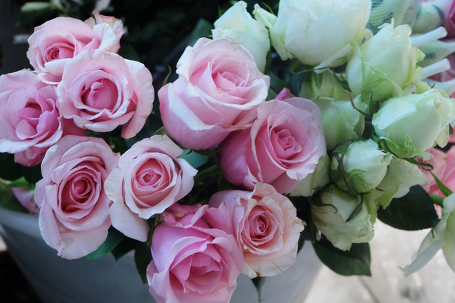 Xếp hàng từ 7h giờ sáng mua hoa hồng Đà Lạt 1.000 đồng/bông - Ảnh 16.