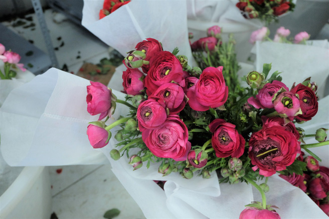 Xếp hàng từ 7h giờ sáng mua hoa hồng Đà Lạt 1.000 đồng/bông - Ảnh 17.