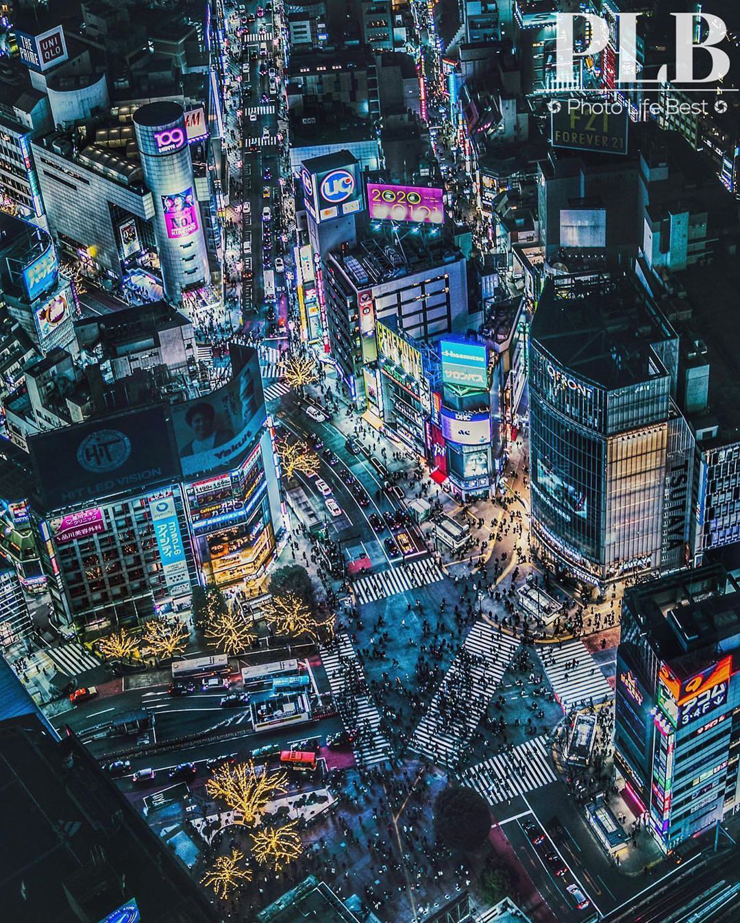 &ldquo;Thang cuốn l&ecirc;n thi&ecirc;n đường&rdquo; hot nhất Nhật Bản: hội m&ecirc; chụp choẹt sẵn s&agrave;ng chi bội tiền để chi&ecirc;m ngưỡng to&agrave;n cảnh khu phố từ tr&ecirc;n cao - Ảnh 12.