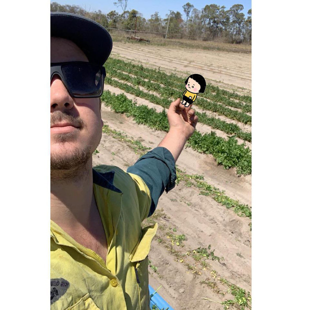 H&ocirc;m nay l&agrave; ng&agrave;y Quốc tế căm th&ugrave; rau m&ugrave;i v&agrave; đ&acirc;y l&agrave; những g&igrave; bạn cần biết - Ảnh 3.