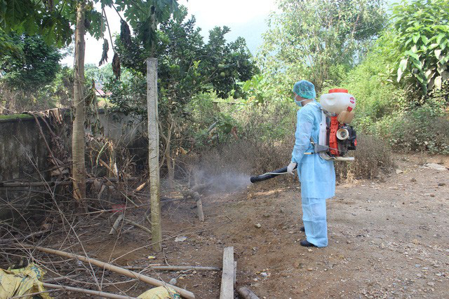 Việt Nam đang đối mặt với nguy cơ về cúm gia cầm bên cạnh dịch corona - Ảnh 2.