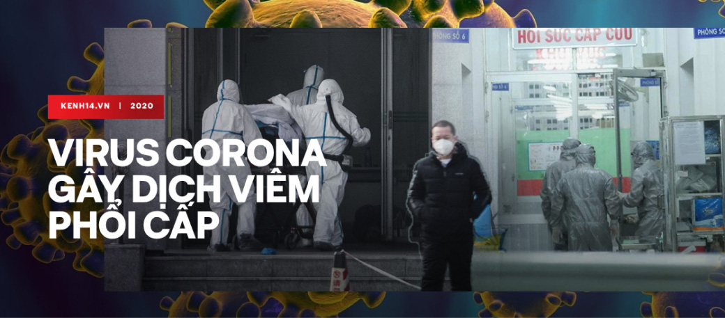 Virus corona là tình trạng khẩn cấp toàn cầu