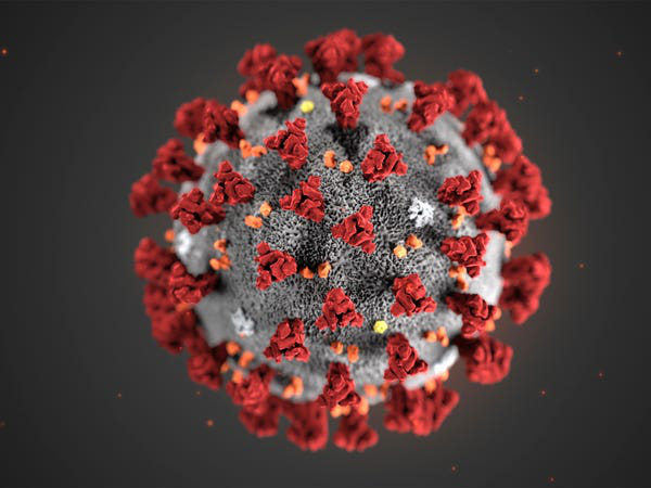 Đón xem buổi trò chuyện trực tiếp với chuyên gia về chủng mới của virus corona vào ngày 5/2 - Ảnh 1.