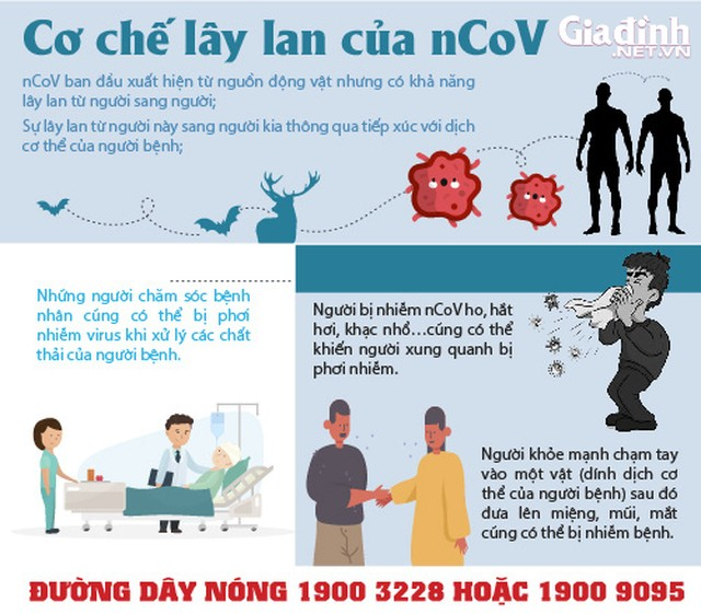  Cách ly phượt thủ người Trung Quốc vào thuê khách sạn ở Hà Tĩnh  - Ảnh 3.