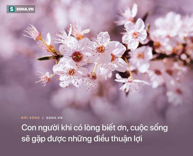 Phỏng vấn xin việc bị trượt, người đàn ông ngay sau đó đã làm 1 việc thay đổi cả cuộc đời - Ảnh 3.