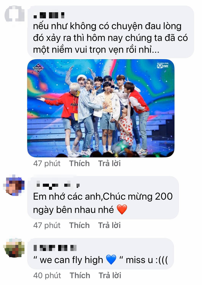 Kỷ niệm 200 ngày debut, các ca khúc của X1 đồng loạt leo top trở lại khiến fan xót xa: Nếu không có sự việc đau lòng ấy niềm vui giờ đã trọn vẹn - Ảnh 10.