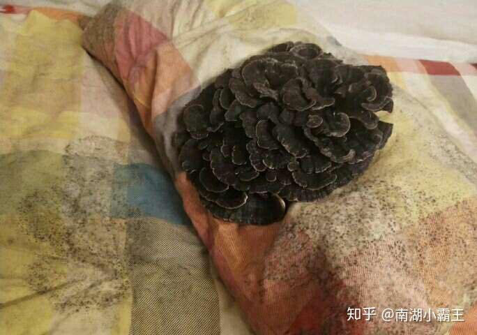 Thảm cảnh bạn c&ugrave;ng ph&ograve;ng ở bẩn đ&atilde; l&ecirc;n một level mới, d&acirc;n t&igrave;nh khuy&ecirc;n n&ecirc;n ra b&atilde;i r&aacute;c lu&ocirc;n cho đỡ tốn tiền thu&ecirc; ph&ograve;ng - Ảnh 9.