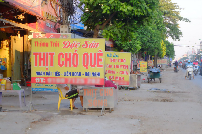Chủ tịch Hà Nội kêu gọi người dân chấm dứt ăn thịt chó - Ảnh 1.