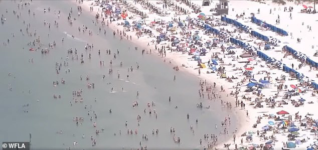 Bất chấp dịch COVID-19, bãi biển Florida vẫn chật kín người  - Ảnh 1.