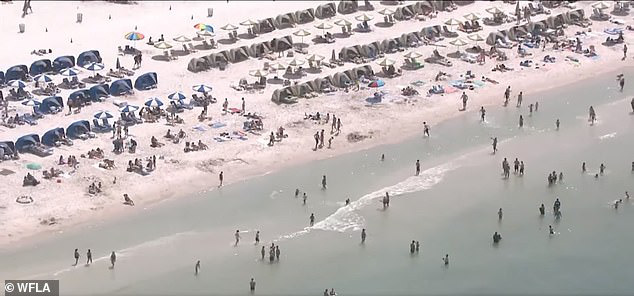Bất chấp dịch COVID-19, bãi biển Florida vẫn chật kín người  - Ảnh 2.