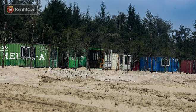 Cận cảnh h&agrave;ng trăm Container kh&ocirc;ng ph&eacute;p mọc l&ecirc;n trong rừng ph&ograve;ng hộ ven biển H&agrave; Tĩnh - Ảnh 7.