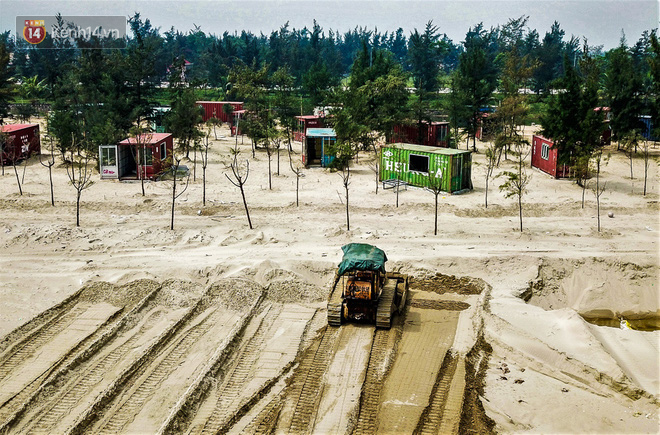 Cận cảnh h&agrave;ng trăm Container kh&ocirc;ng ph&eacute;p mọc l&ecirc;n trong rừng ph&ograve;ng hộ ven biển H&agrave; Tĩnh - Ảnh 8.