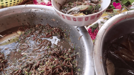 Những món ăn sống kinh dị nhất Việt Nam: có món là đặc sản nổi tiếng nhưng vẫn khiến nhiều người “khiếp đảm” - Ảnh 3.