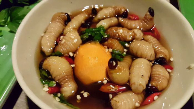 Những món ăn sống kinh dị nhất Việt Nam: có món là đặc sản nổi tiếng nhưng vẫn khiến nhiều người “khiếp đảm” - Ảnh 5.