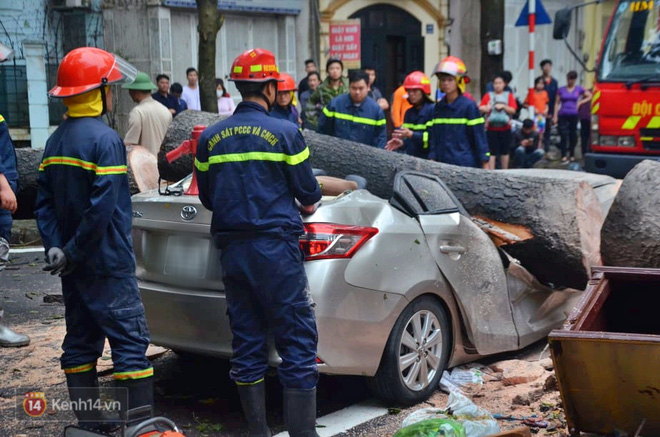 H&agrave; Nội: C&acirc;y cổ thụ bật gốc v&igrave; mưa lớn, đ&egrave; n&aacute;t &ocirc; t&ocirc; đậu tr&ecirc;n vỉa h&egrave; - Ảnh 2.