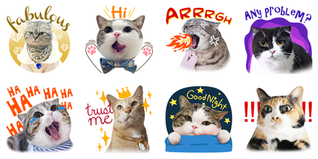 Chú cún Dúi idol được làm thành cả sticker trên Facebook? Thật ra tất cả chỉ là một cú lừa - Ảnh 5.