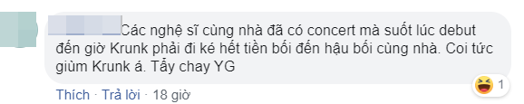 Nghệ sĩ YG còn chịu bất công hơn cả BLACKPINK: Debut đã 3 năm nhưng chưa 1 lần comeback, dự án nào của công ty cũng bị lờ đi - Ảnh 12.