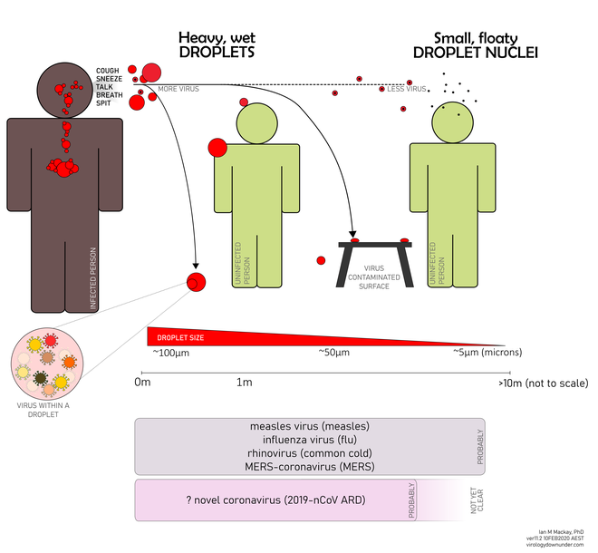 Nếu v&ocirc; t&igrave;nh đi qua một người nhiễm Covid-19, liệu t&ocirc;i c&oacute; bị l&acirc;y hay kh&ocirc;ng? - Ảnh 2.