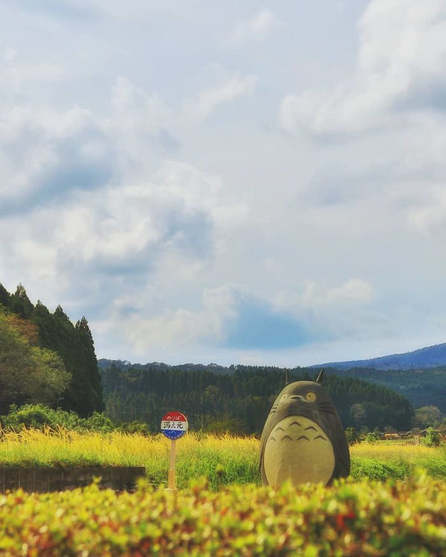 Mê phim hoạt hình Totoro, đôi vợ chồng già cặm cụi làm trạm xe bus độc nhất vô nhị, khách thi nhau tìm đến chụp ảnh - Ảnh 15.