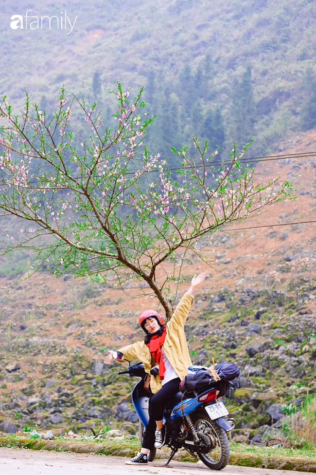 Hà Giang tháng 3 đẹp mê hồn trong mắt cô gái trẻ xứ Thanh, thật khó tin khi 4 loài hoa núi rừng đủ sắc màu cùng nở một lúc - Ảnh 1.