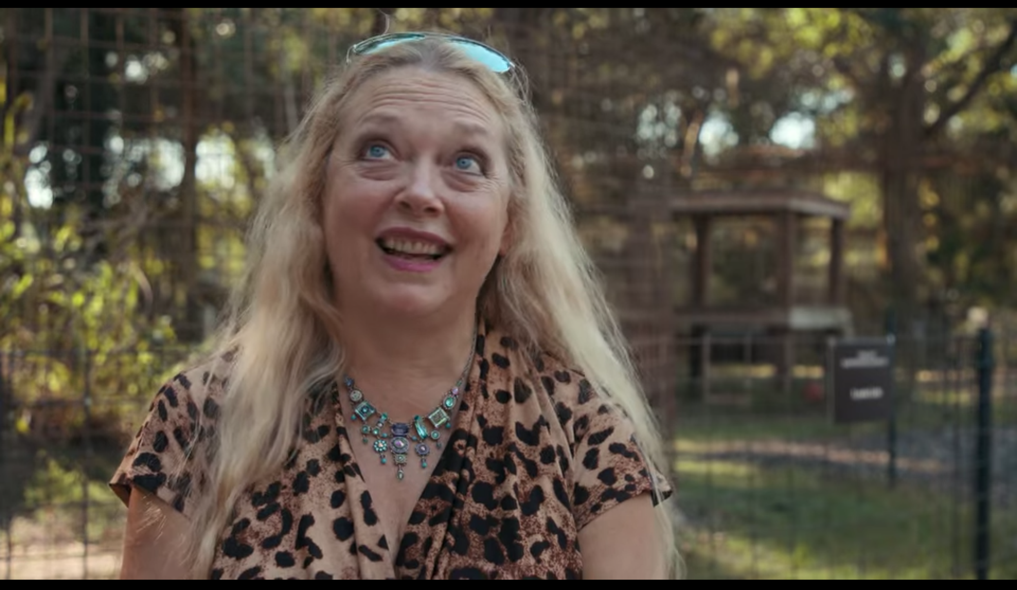 Imx to carol. Король тигров кэрол баскин. Imx to carol. Nissan cz. Imx to carol.