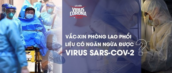 Bác sĩ BV Đa khoa Xanh Pôn: Vắc-xin phòng lao liệu có ngăn ngừa được virus SARS-CoV-2?  - Ảnh 1.