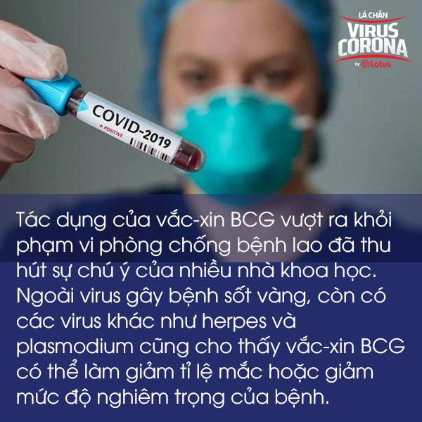 Bác sĩ BV Đa khoa Xanh Pôn: Vắc-xin phòng lao liệu có ngăn ngừa được virus SARS-CoV-2?  - Ảnh 4.