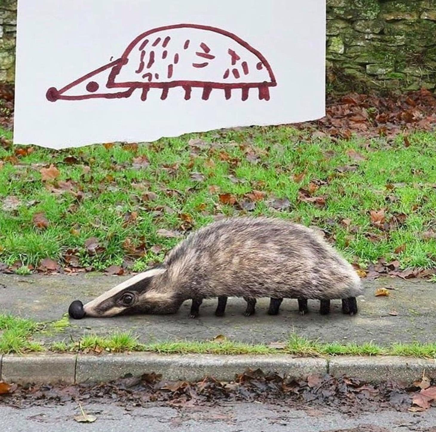 Nếu những bức tranh vẽ của học sinh biến thành động vật ngoài đời thực, chúng sẽ kỳ dị thế này đây - Ảnh 8. Nếu những bức tranh vẽ của học sinh biến thành động vật ngoài đời thực, chúng sẽ kỳ dị thế này đây - Ảnh 8.