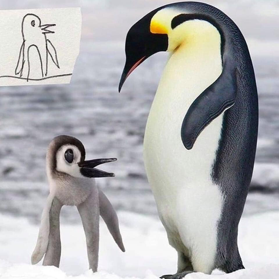 Nếu những bức tranh vẽ của học sinh biến thành động vật ngoài đời thực, chúng sẽ kỳ dị thế này đây - Ảnh 10. Nếu những bức tranh vẽ của học sinh biến thành động vật ngoài đời thực, chúng sẽ kỳ dị thế này đây - Ảnh 10.